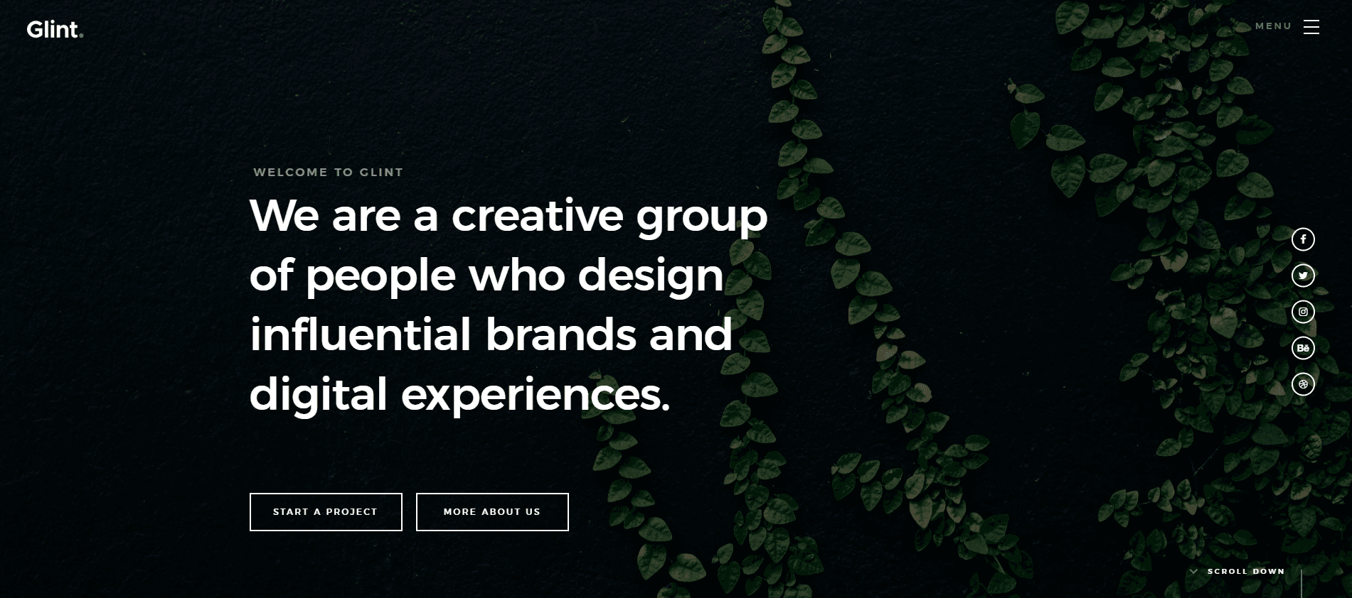 Case Study 7